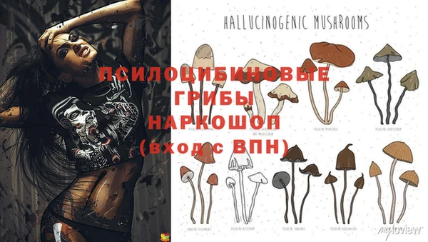 прущие крисы Алексин