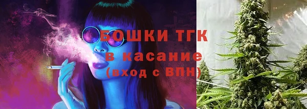 ГАЛЛЮЦИНОГЕННЫЕ ГРИБЫ Алексеевка