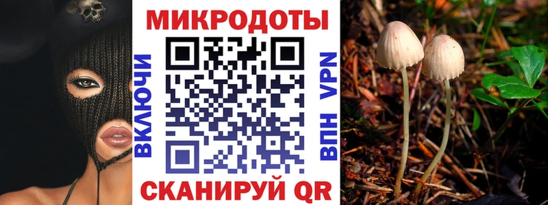 Псилоцибиновые грибы Cubensis Бабаево